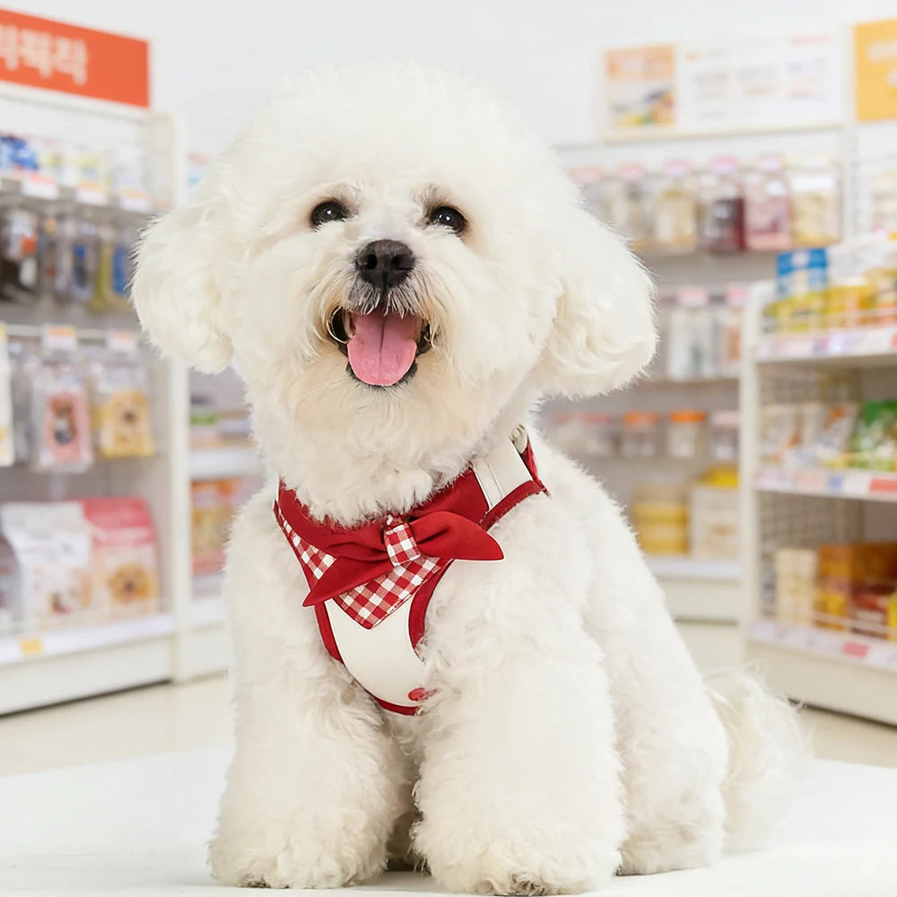 Bow-Detail Pet Vest Harness with Gingham Accent