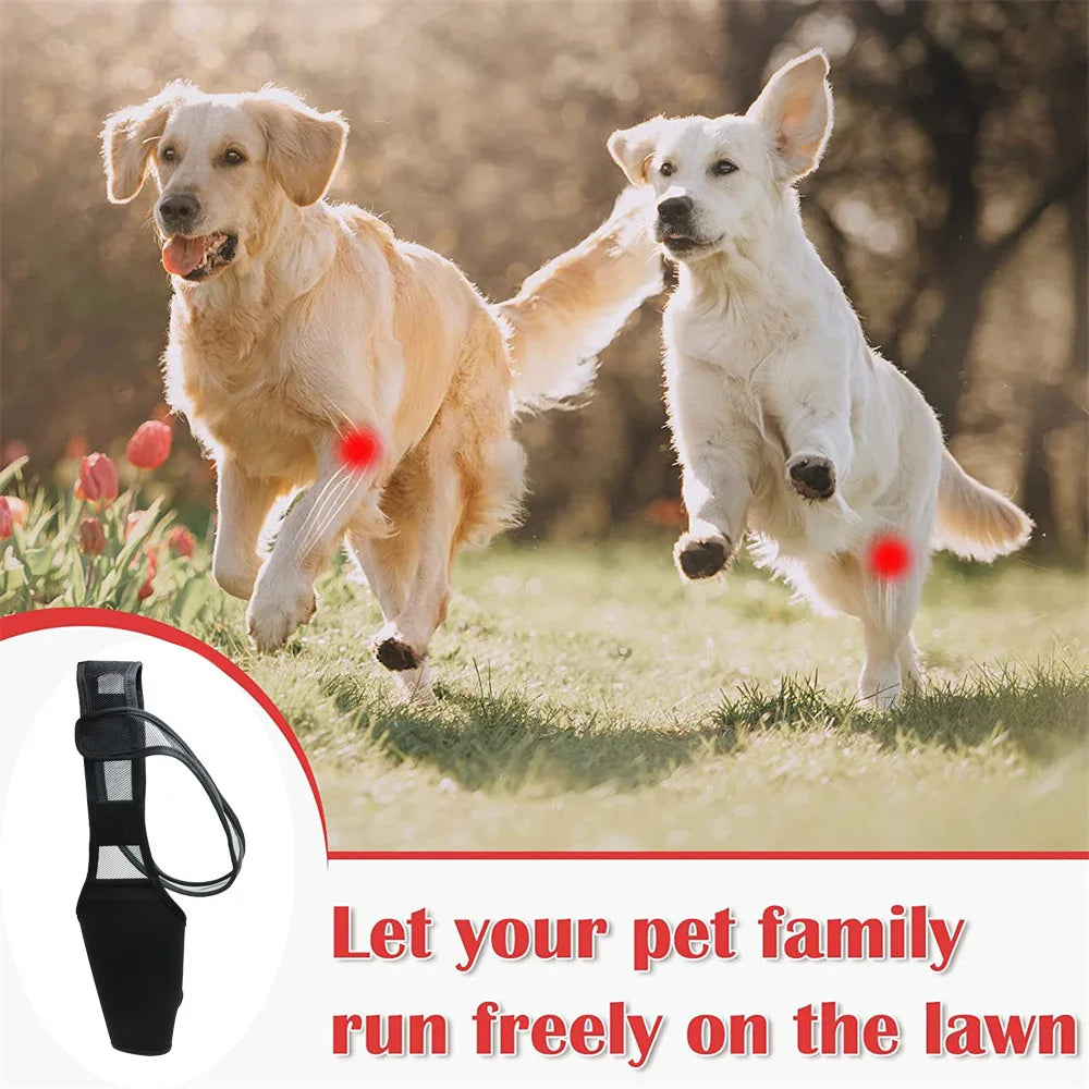 Adjustable Dog Leg Wrap with Mesh Connecting Strap