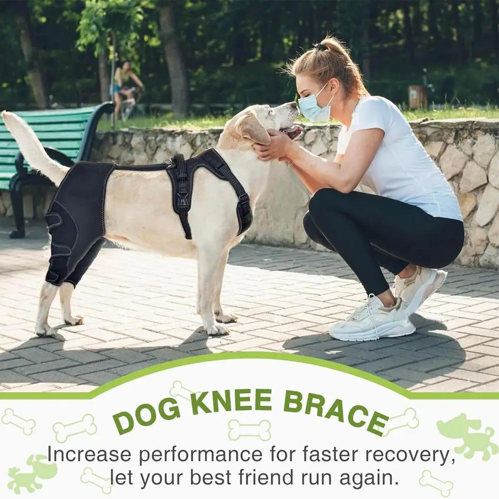 Dog Rear-Leg Wrap with Detachable Chest Harness