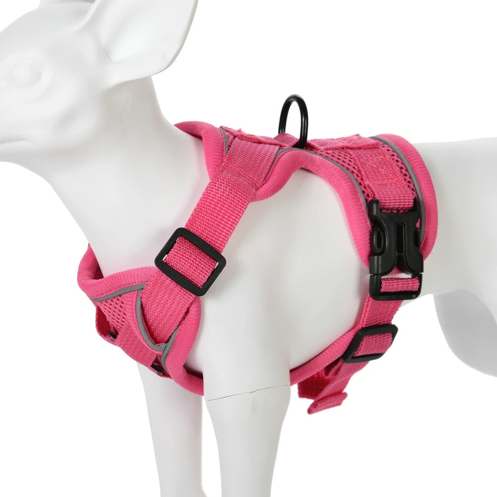 Adjustable Mesh Pet Harness & Coordinating Leash Set