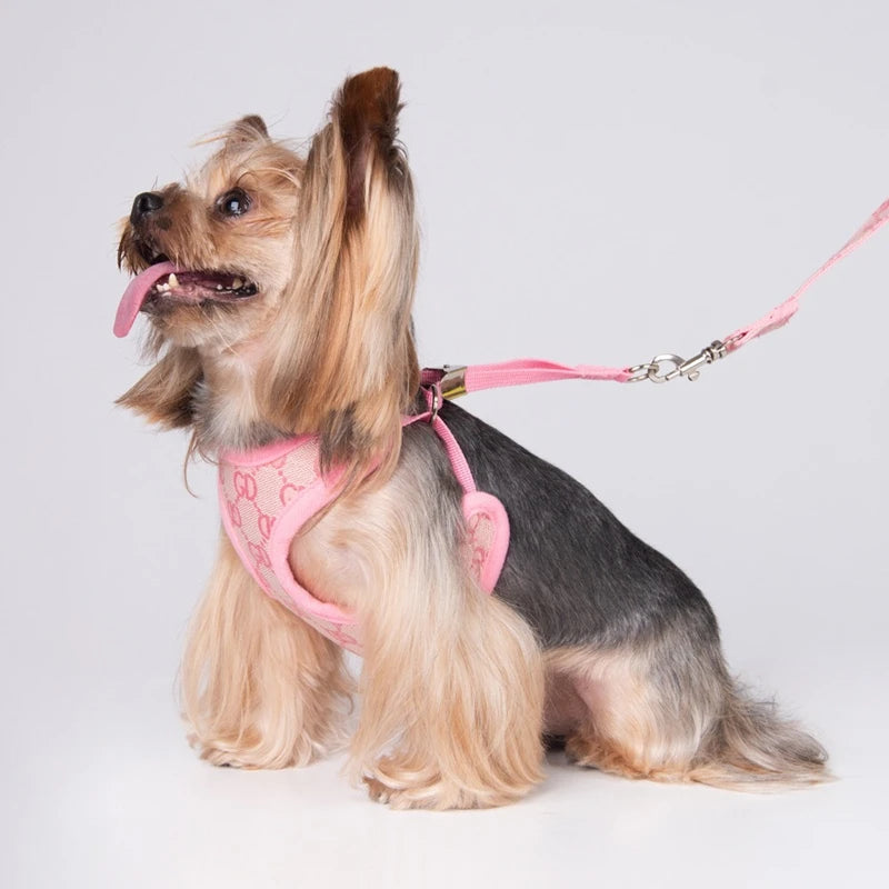 Classic-Pattern Mesh Pet Harness & Leash Set