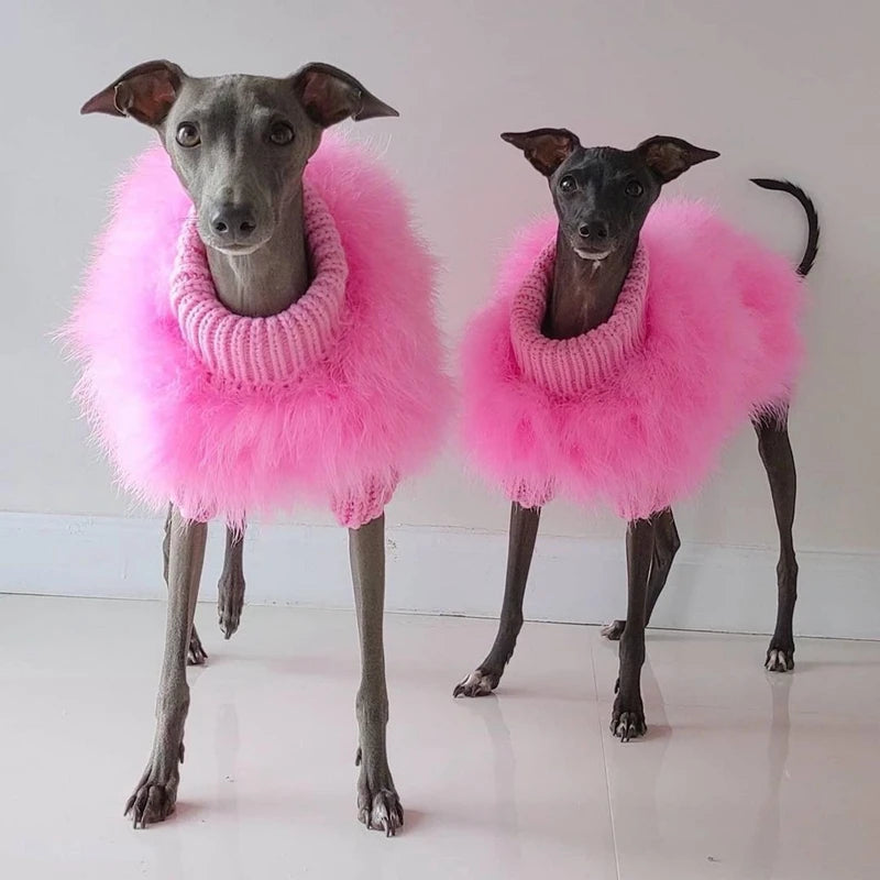Feather-Trim Pet Sweater & Separate Pearl-Look Glasses Option