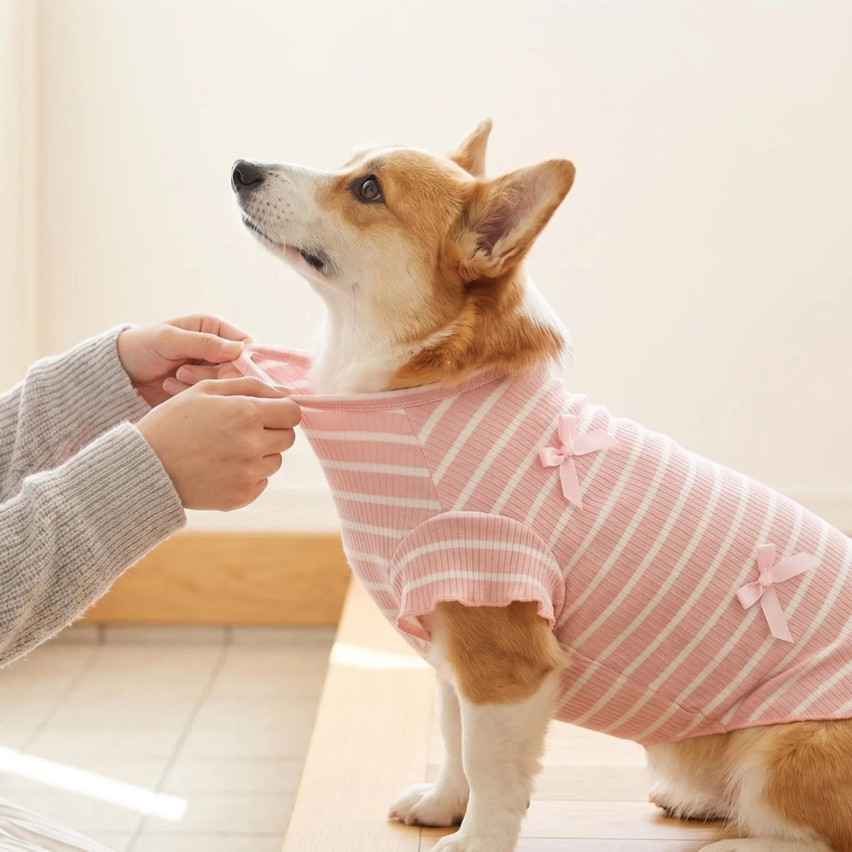 Striped Ribbed Pet T-Shirt with Ribbon Bows