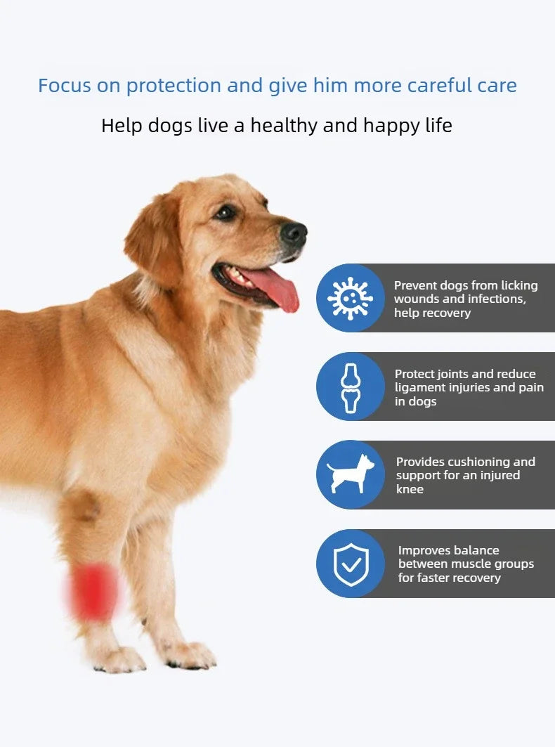 Dog Leg Wraps and Connected Paw Covers, Six Styles