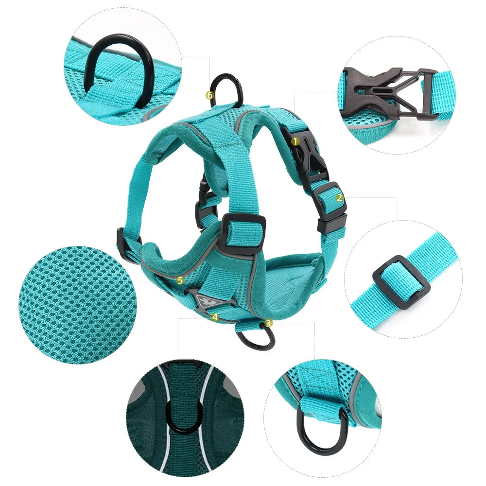 Solid-Color Mesh Pet Harness & 150 cm Leash Set
