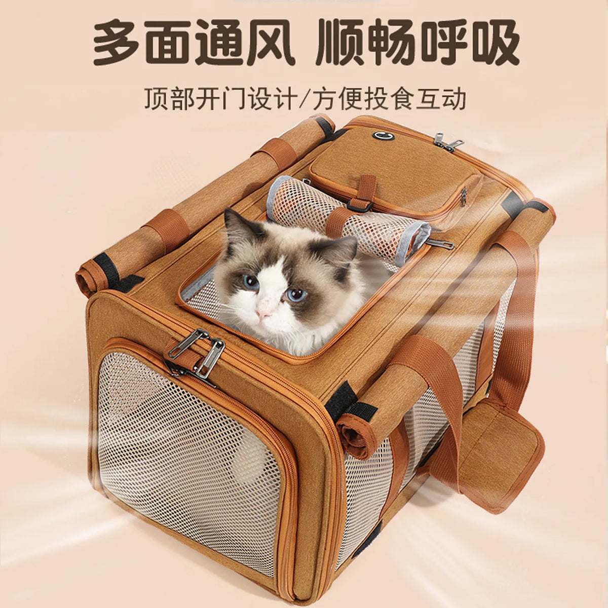 Foldable Mesh Pet Carrier with Front & Top Access