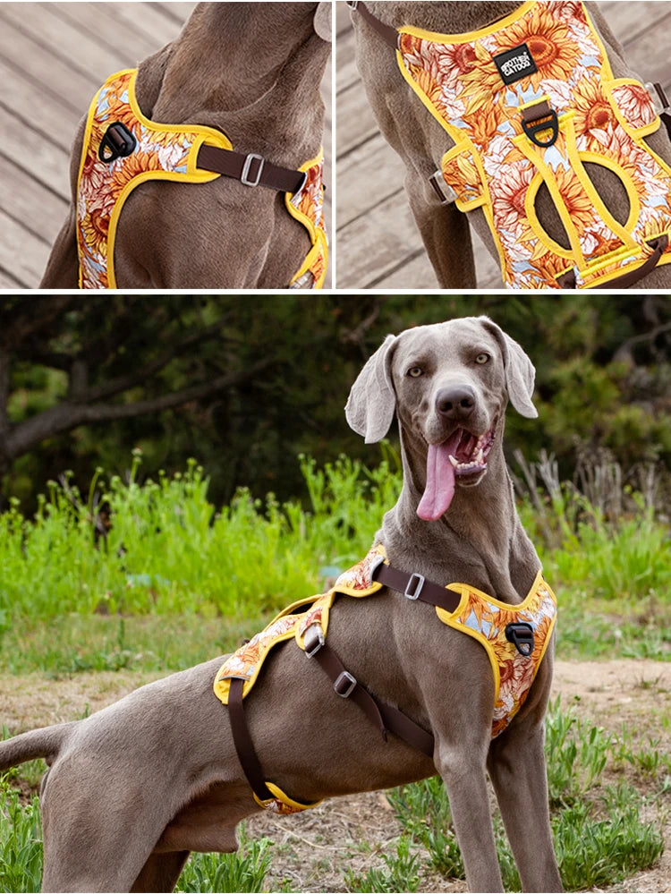 Adjustable Padded Nylon Dog Harness with Reflective Details