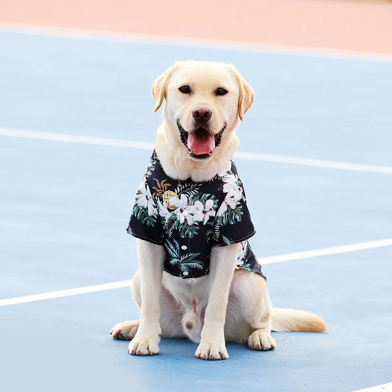Tropical-Print Collared Dog Shirt