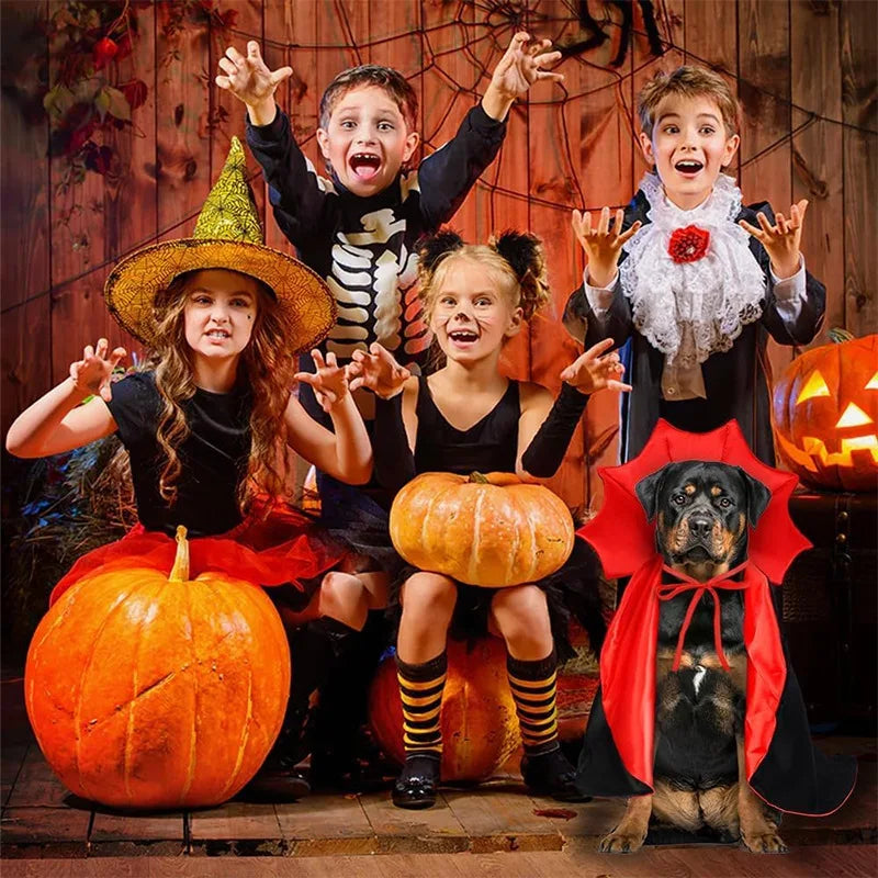 Vampire Cape Costume for Cats & Dogs