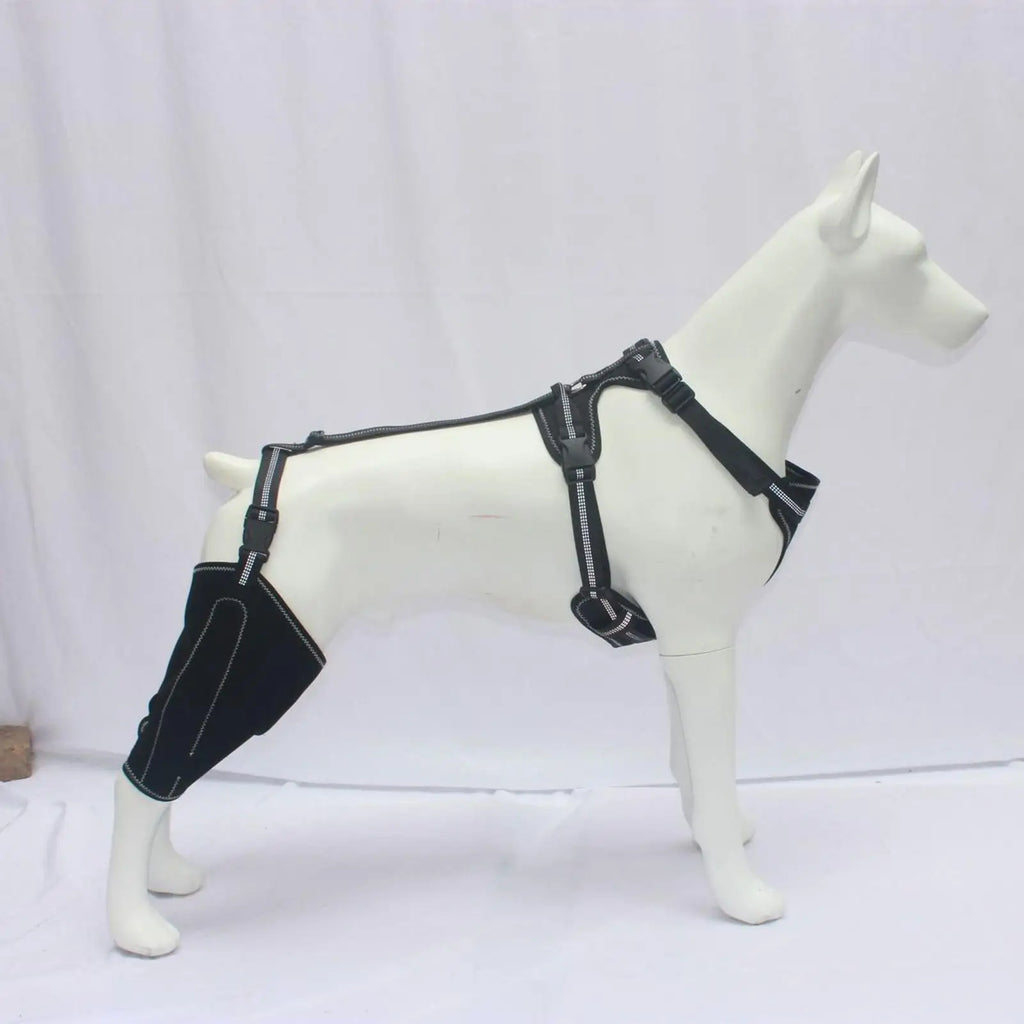 Dog Rear-Leg Brace with Adjustable Chest Harness