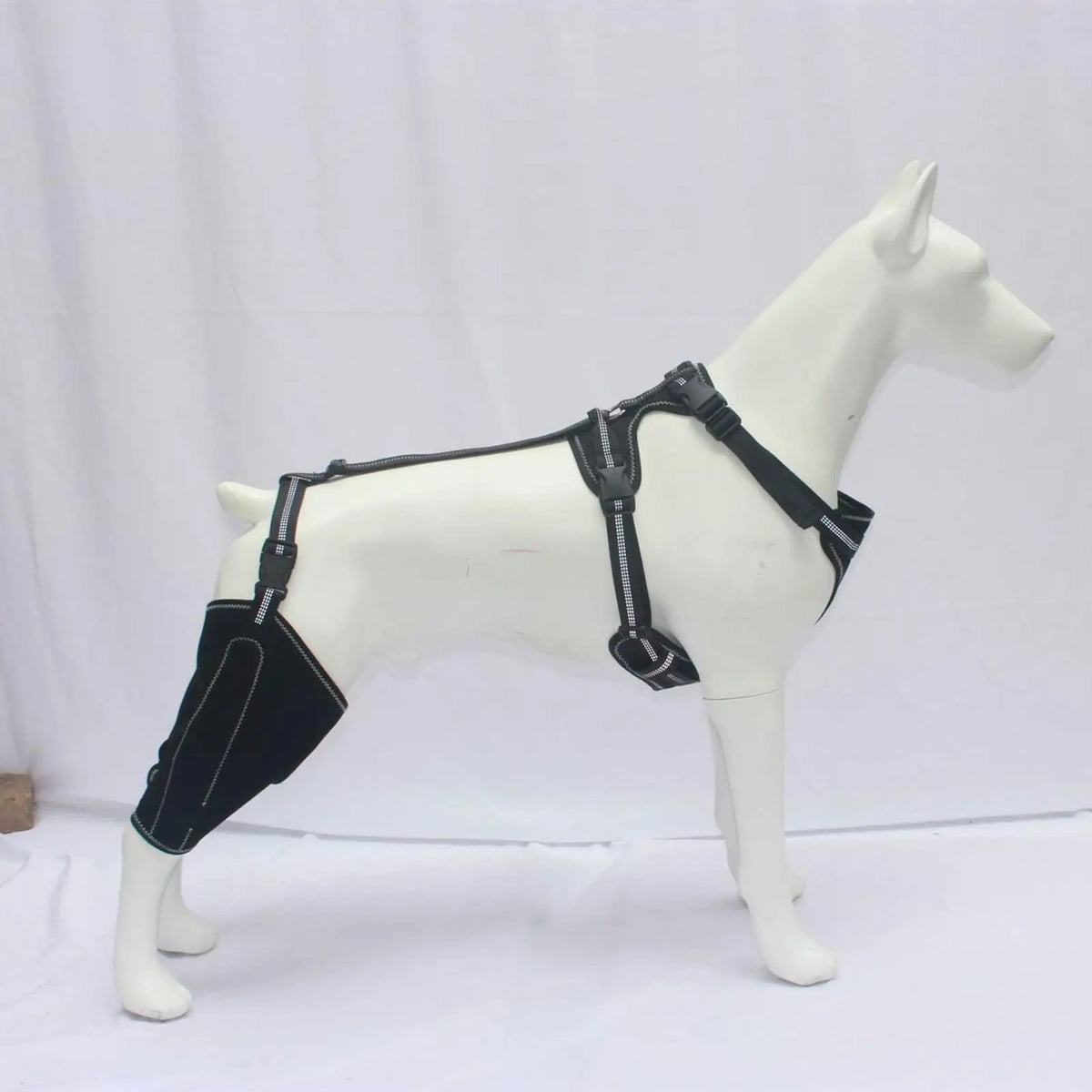 Dog Rear-Leg Brace with Adjustable Chest Harness