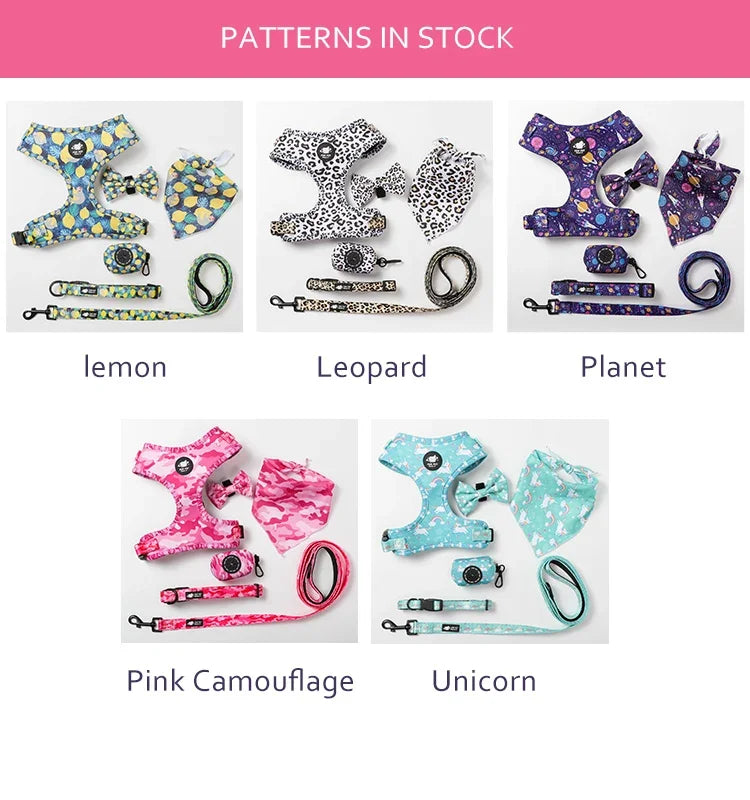 Printed Dog Harness & Coordinating Walking Accessory Set