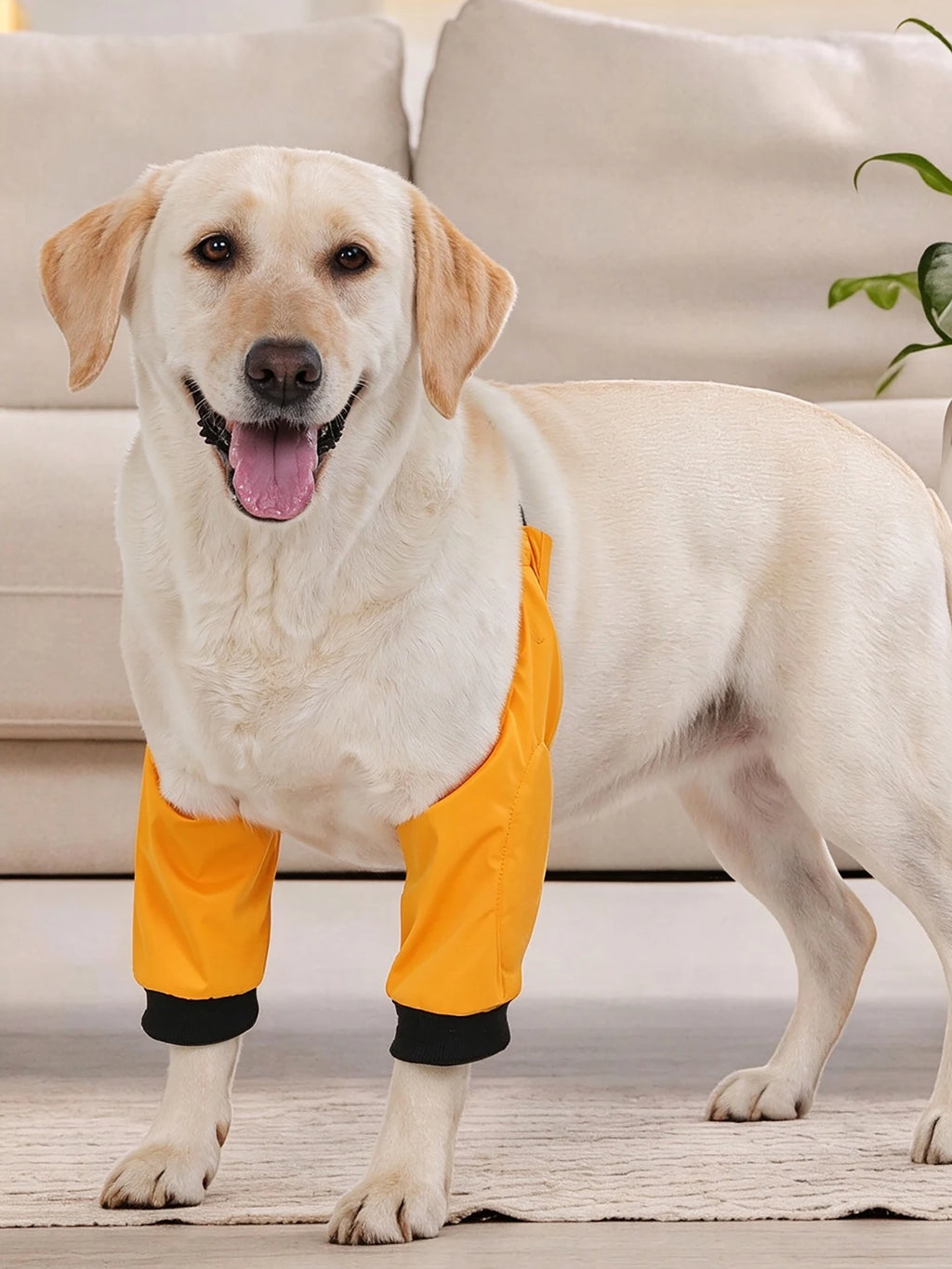 Dog Elbow Cover with Connected Front-Leg Sleeves