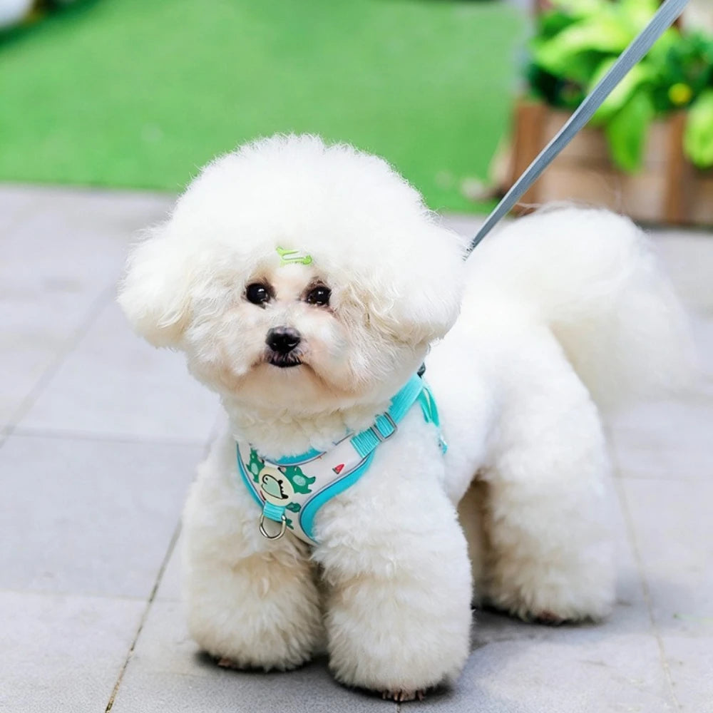 Cartoon-Print Pet Vest Harness, Harness or Leash Option
