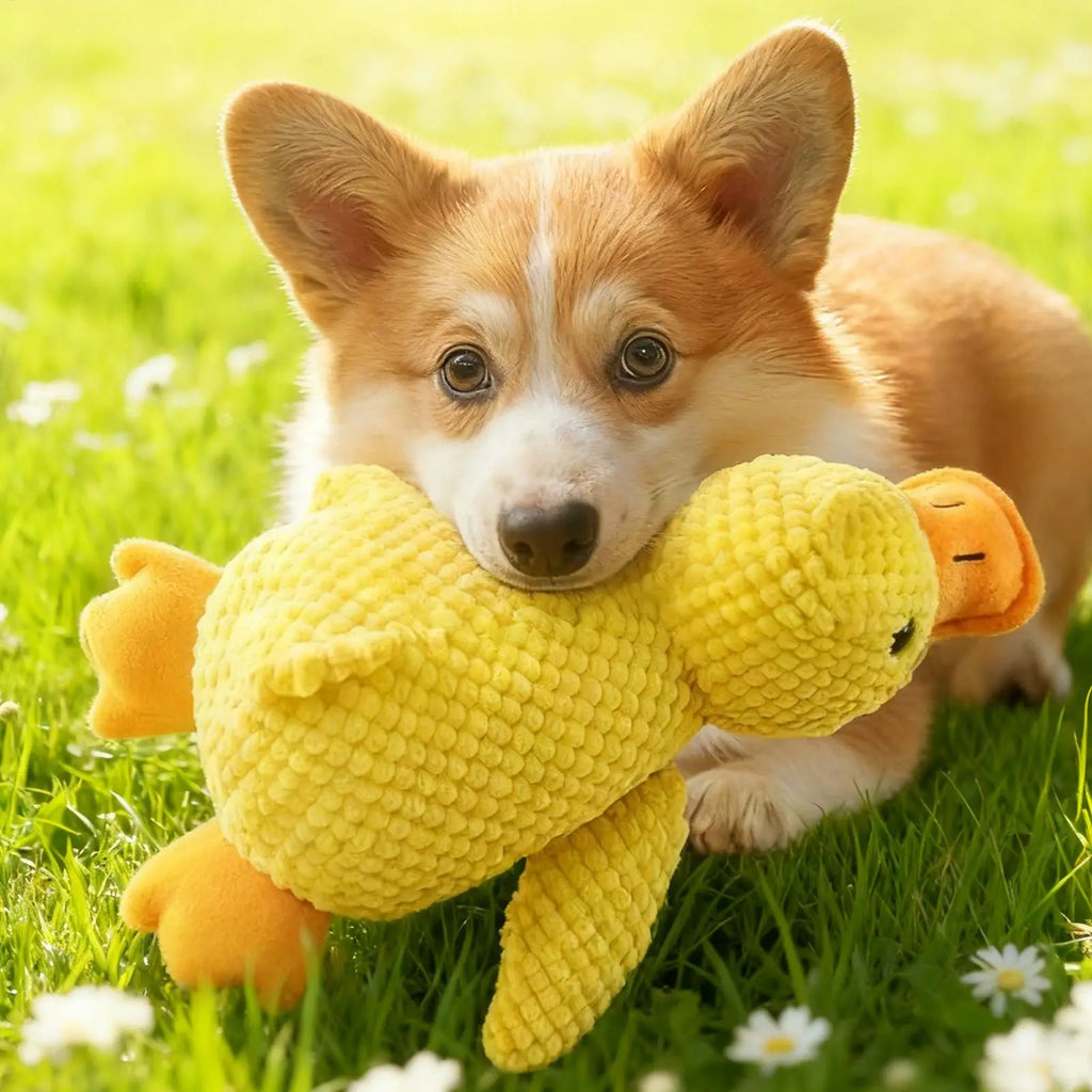 Yellow Plush Duck Dog Toy with Sound