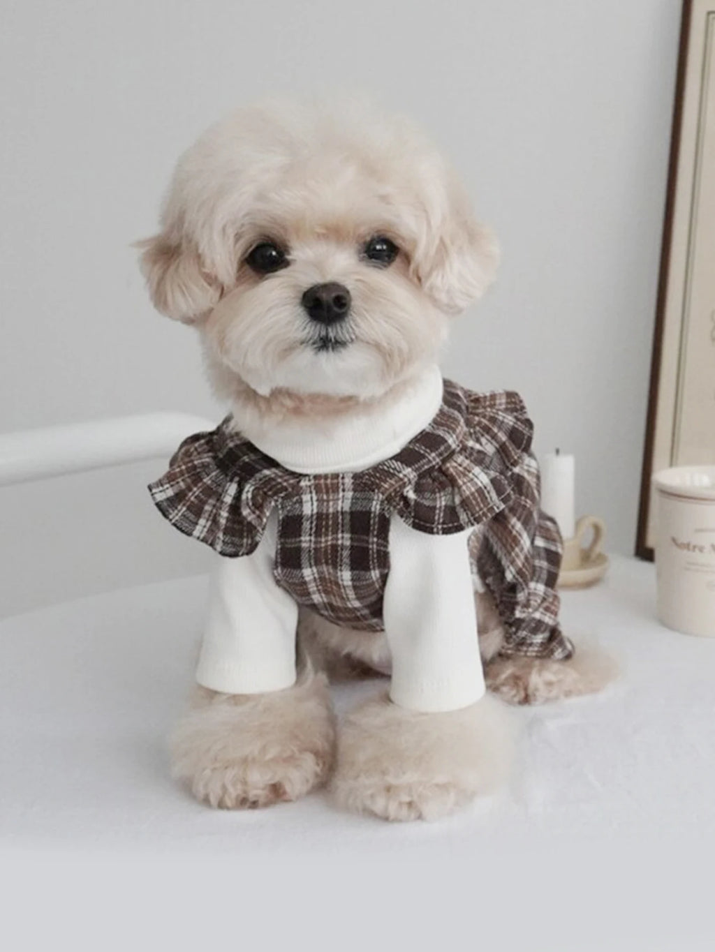 Brown Plaid Pet Pinafore Dress with Ruffle Trim