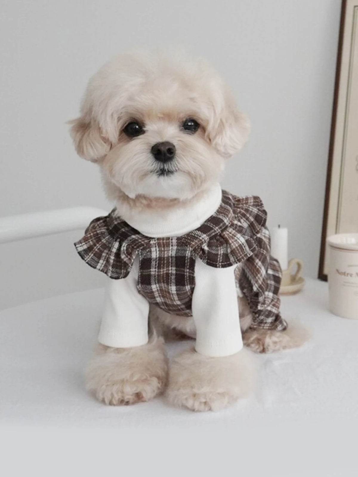 Brown Plaid Pet Pinafore Dress with Ruffle Trim