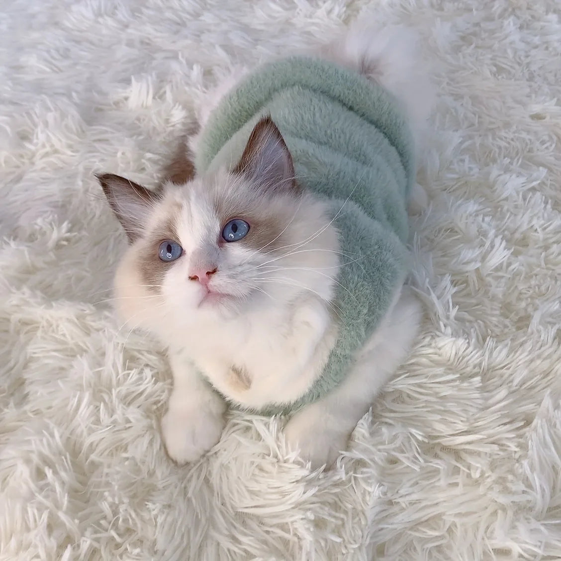 Fluffy Sheep-Patch Cat Vest