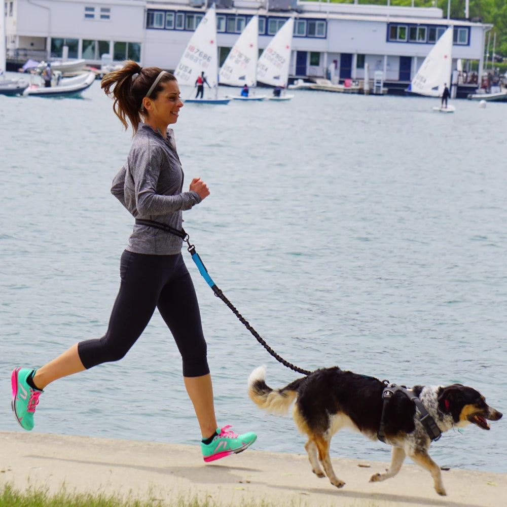 Waist-Belt Dog Leash Set with Bungee Sections