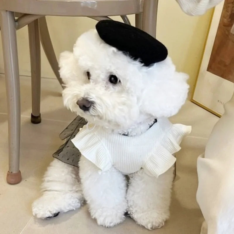 Black Bow Pet Occasion Outfit, Dress or Vest