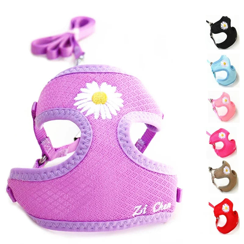 Daisy-Embroidered Mesh Pet Harness & 120 cm Leash Set