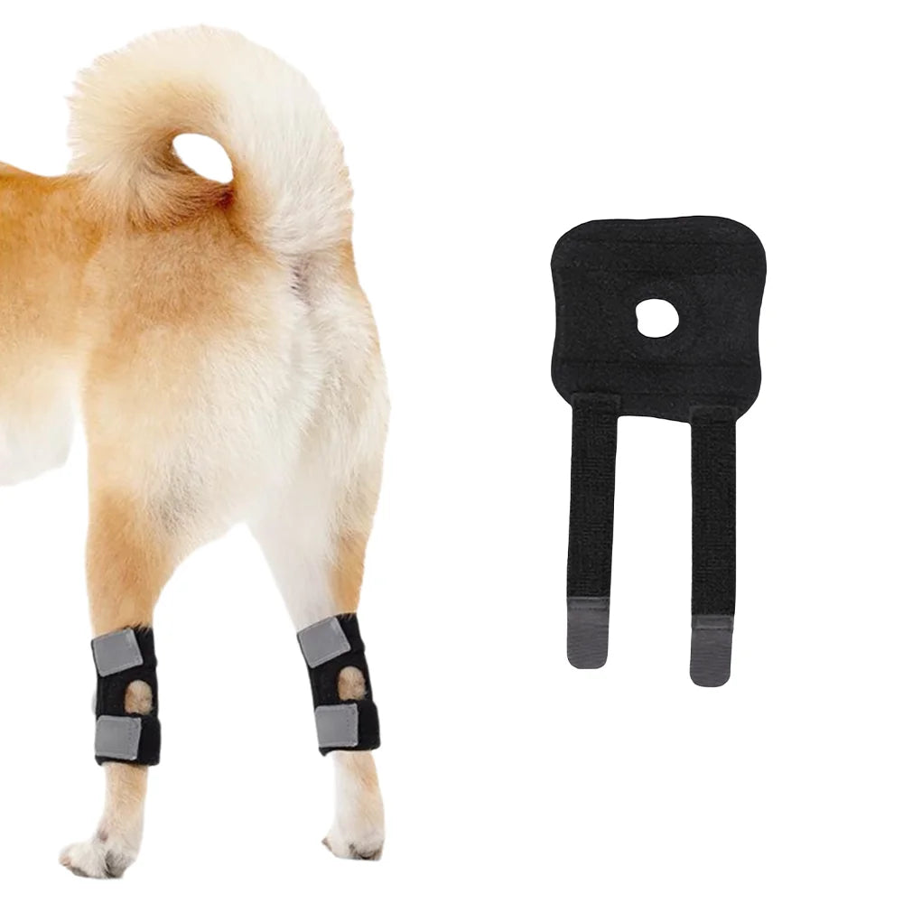 Adjustable Dog Hock Wrap in Black, Single