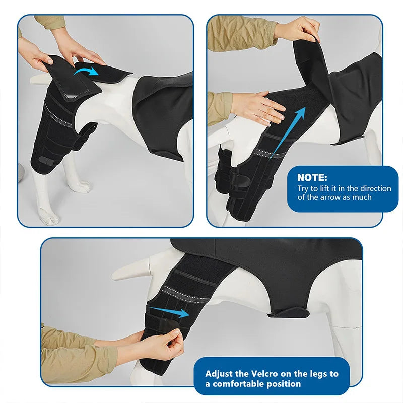 Dog Rear-Leg Brace with Body Strap
