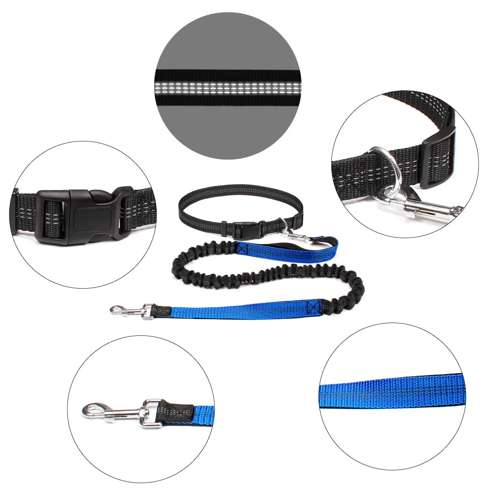 Waist-Belt Dog Leash Set with Bungee Sections