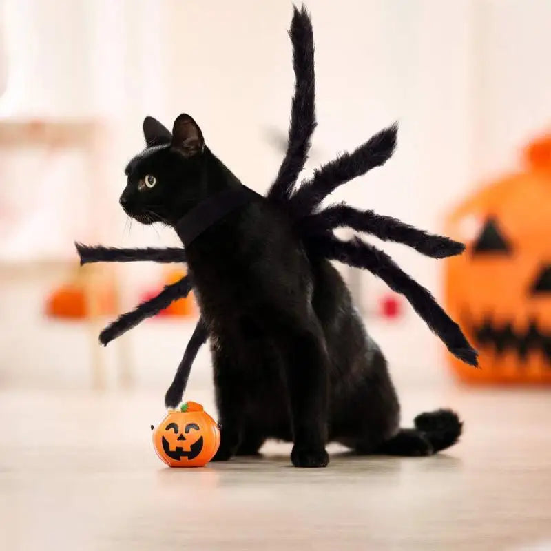 Fuzzy Spider Costume for Cats & Dogs