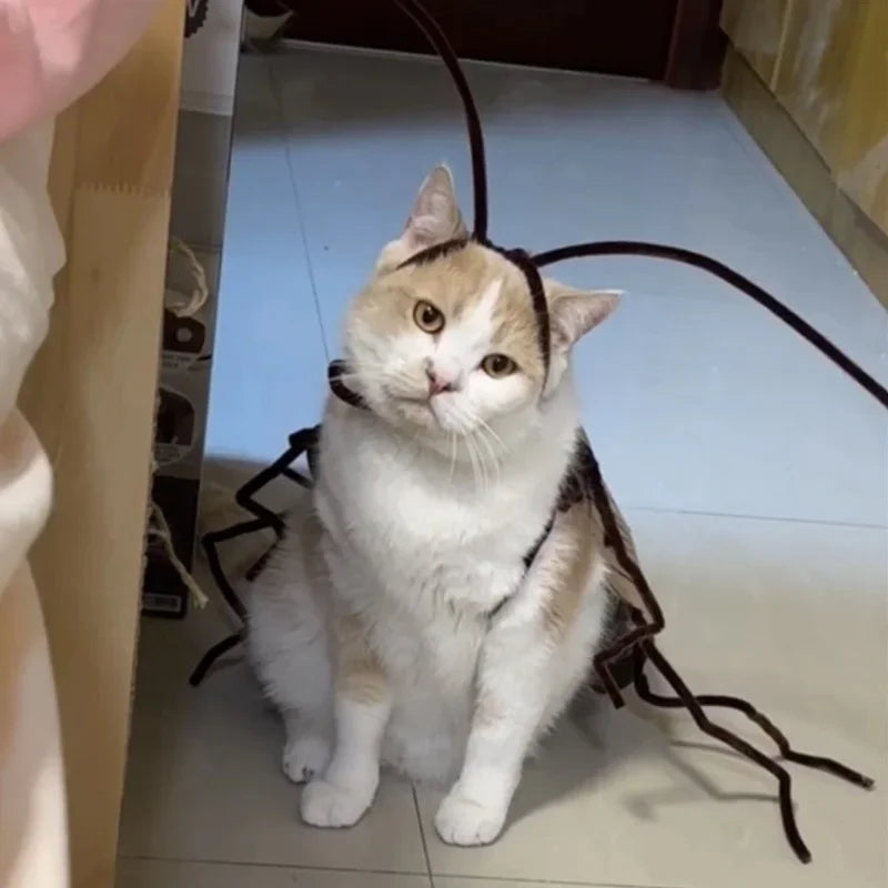 DIY Cockroach Cat Costume Material Kit