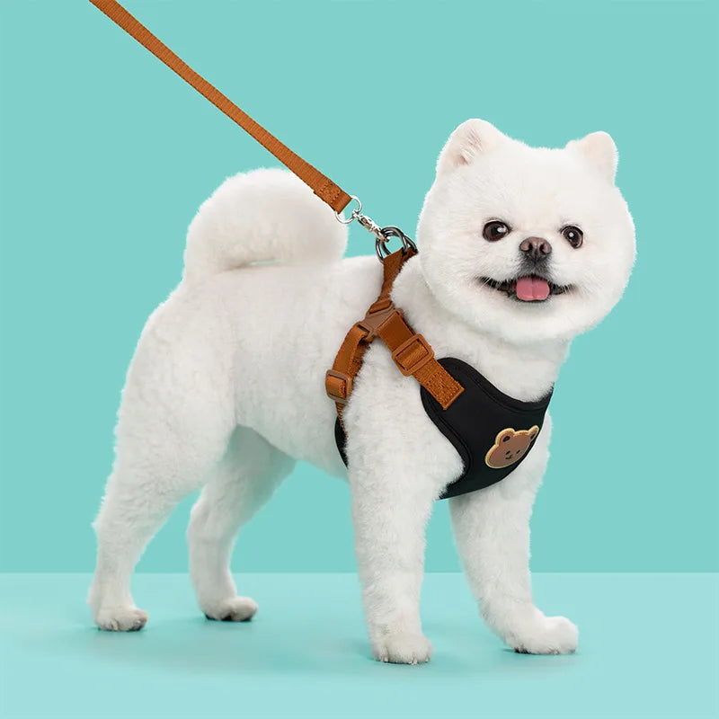 Bear-Patch Pet Harness & Matching Leash Set