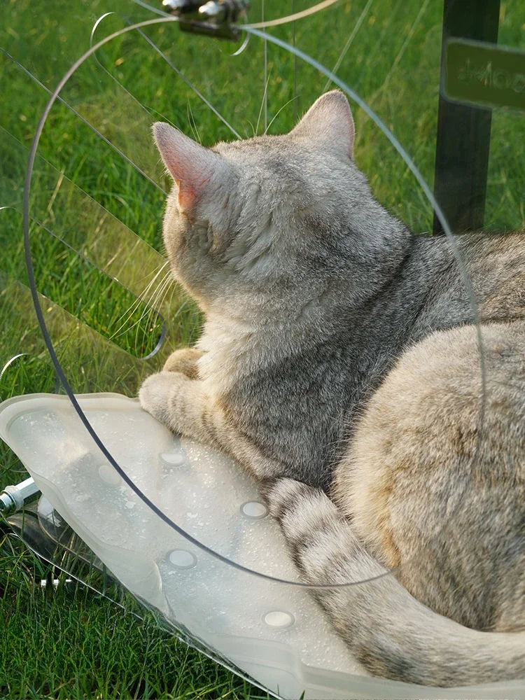 Box-Style Rolling Pet Carrier with Clear Panels