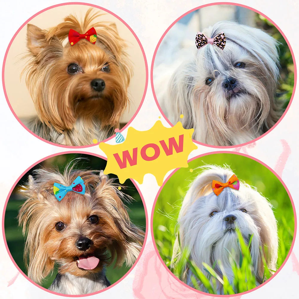 Mixed-Color Pet Hair Bows with Elastic Bands, 200 Pieces