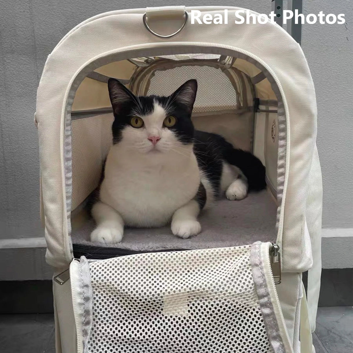 Detachable Rolling Cat Carrier with Mesh Panels