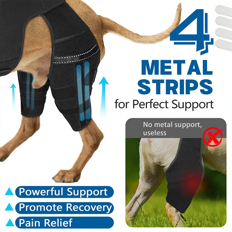Dog Rear-Leg Brace with Body Strap