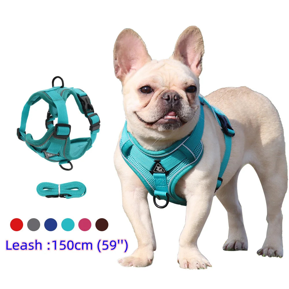 Solid-Color Mesh Pet Harness & 150 cm Leash Set