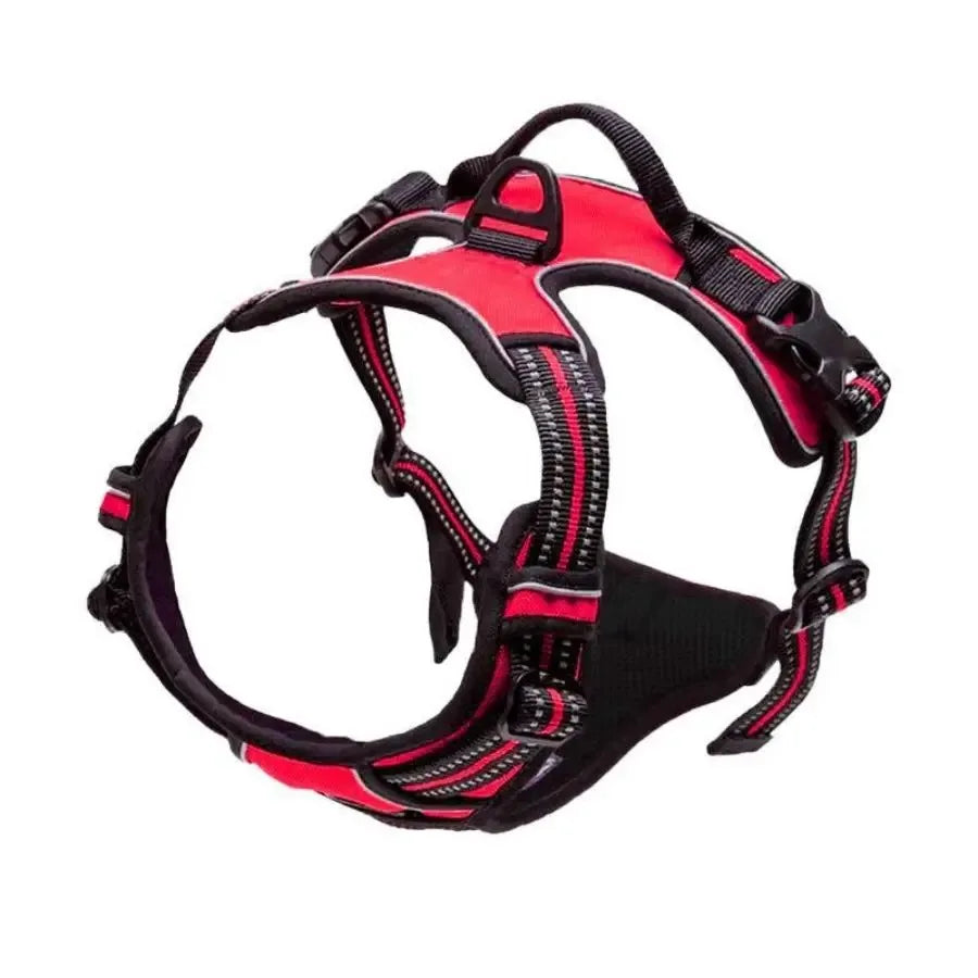 Adjustable Dog Vest Harness with Contrast Trim