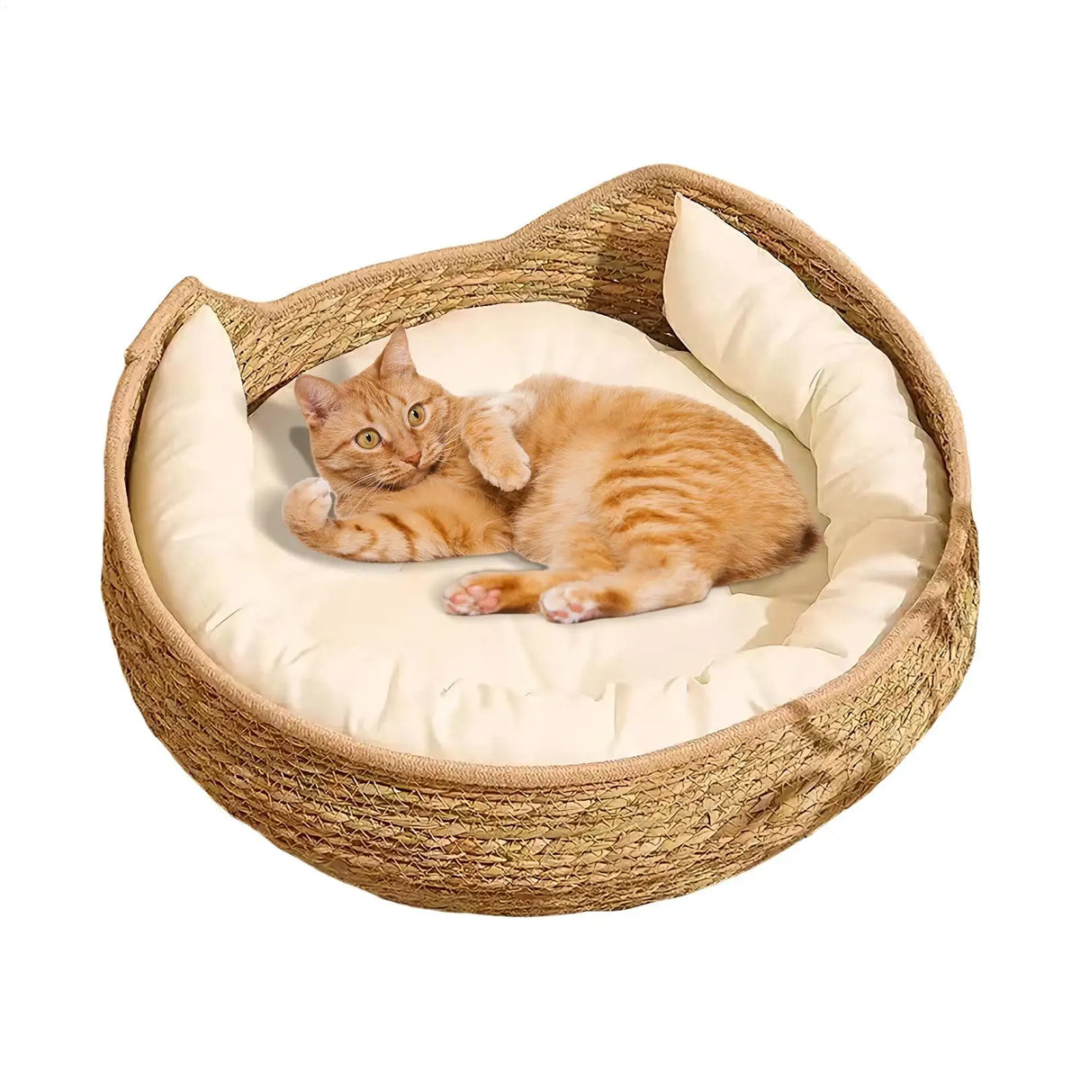 Woven Cotton Rope Cat Bed with Pillow & Pad