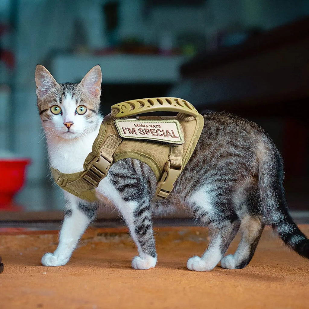 Adjustable Tactical-Style Pet Harness & Set Options