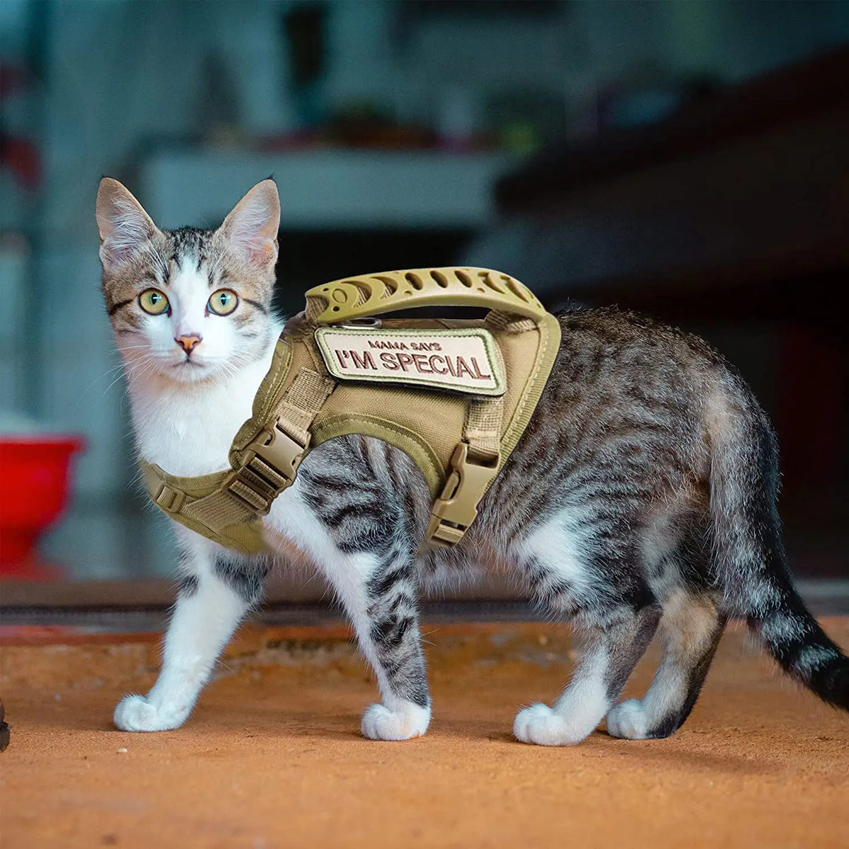 Adjustable Tactical-Style Pet Harness & Set Options
