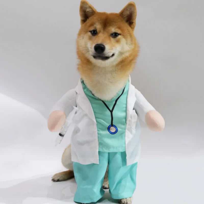 Doctor Dog Costume with Scrubs & Lab Coat