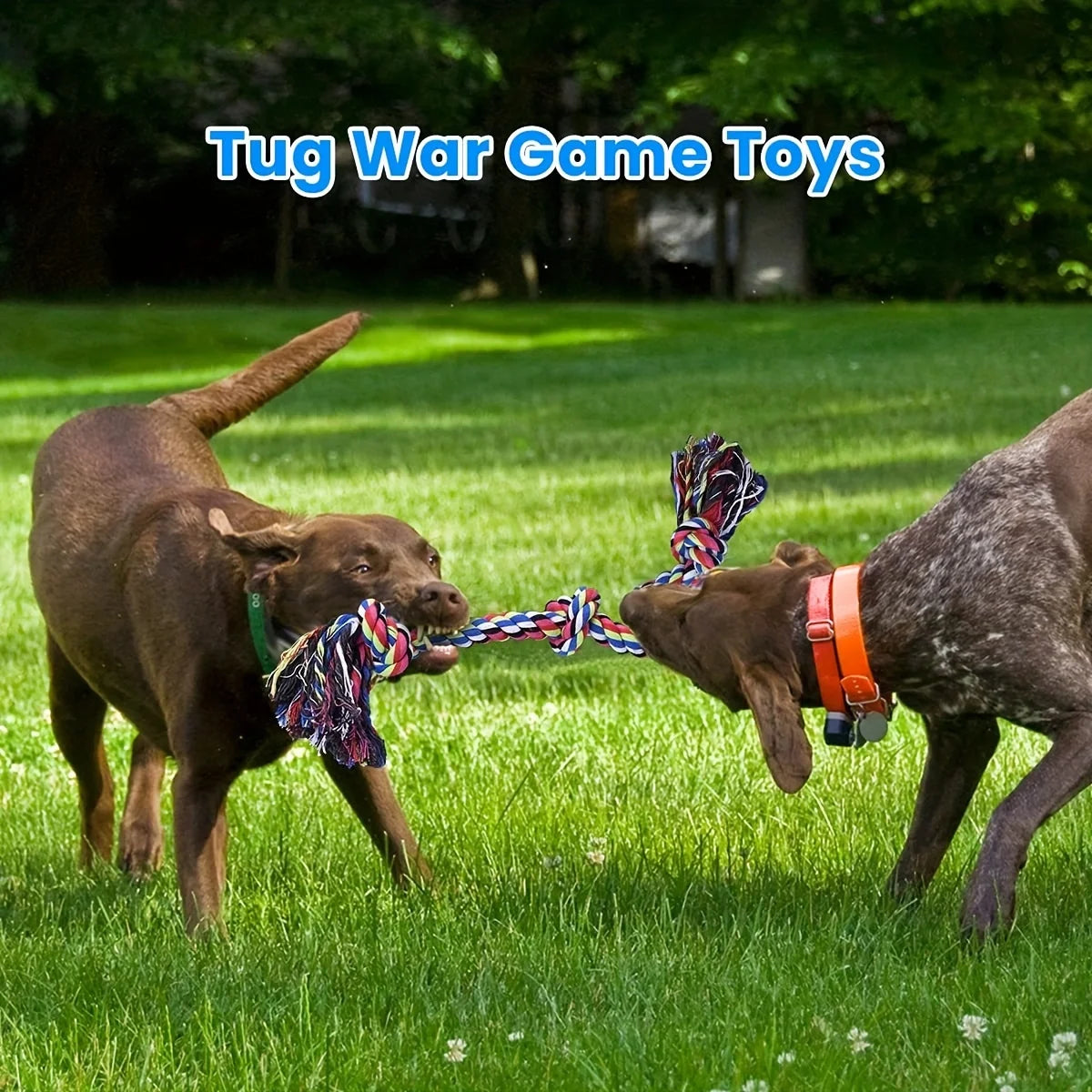 Knotted Rope Dog Tug Toy, One- & Two-Piece Options