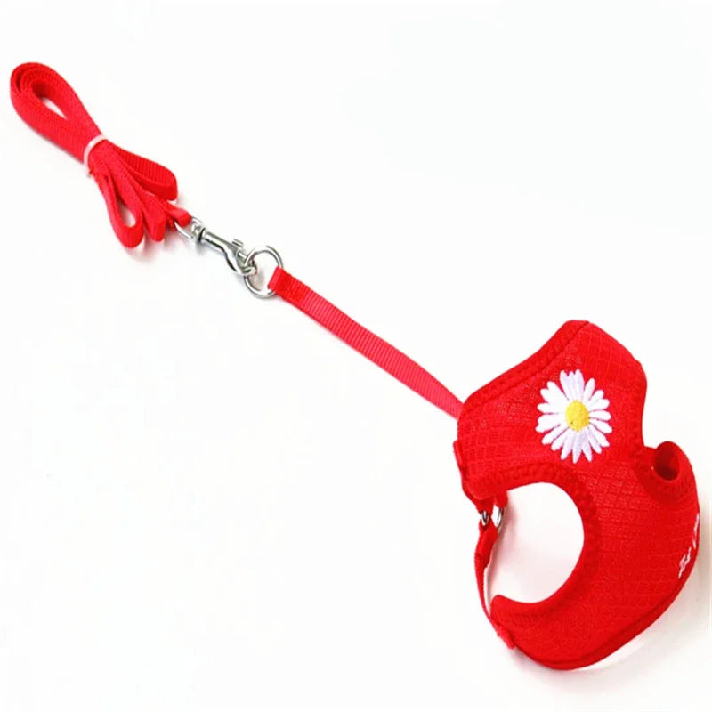Daisy-Embroidered Mesh Pet Harness & 120 cm Leash Set