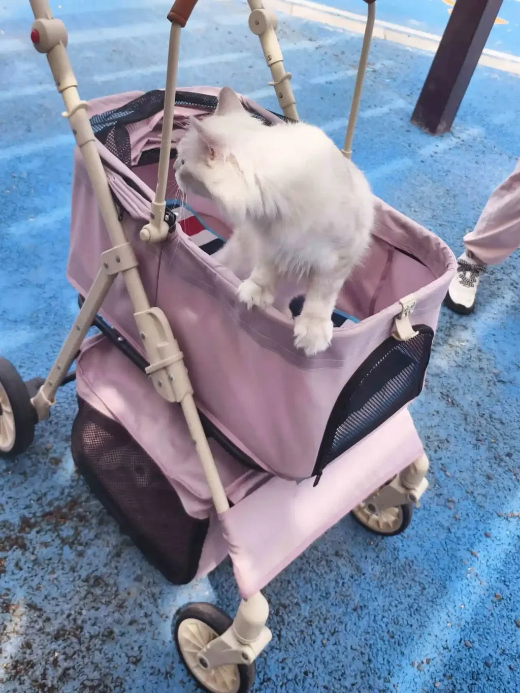 Folding Pet Stroller with Detachable Carrier & Lower Basket