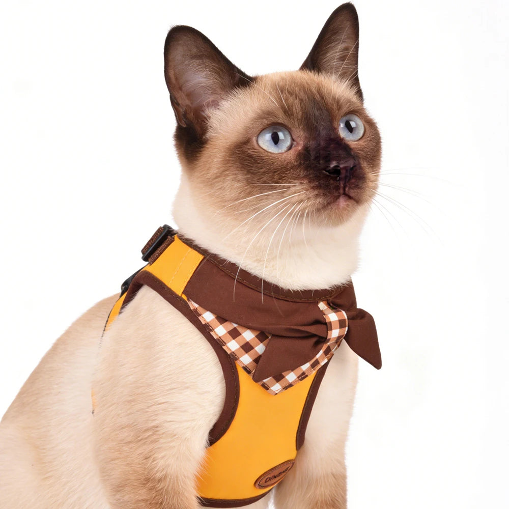 Bow-Detail Pet Vest Harness with Gingham Accent