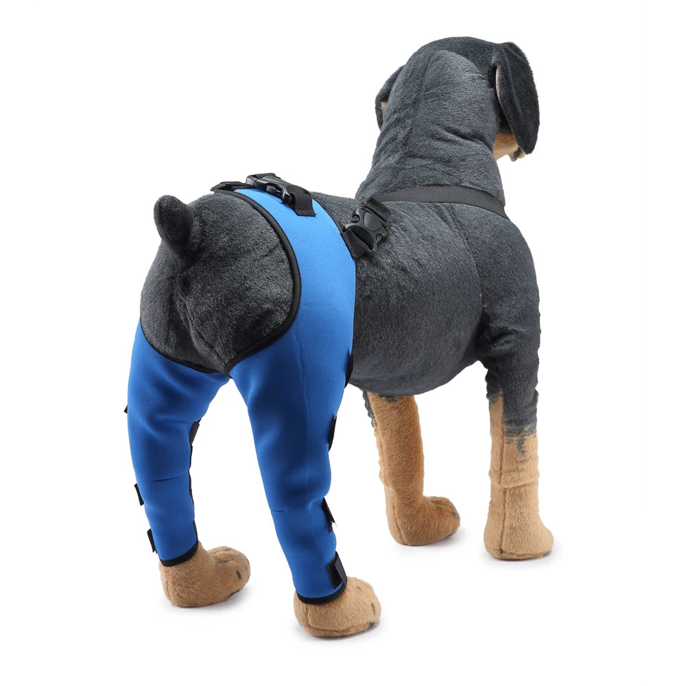 Adjustable Dog Hind-Leg Wraps with Connecting Strap, Pair