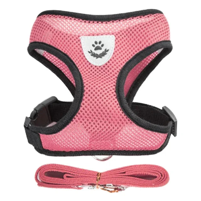 Adjustable Mesh Pet Harness & 120 cm Leash Set