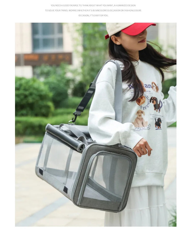Foldable Mesh Pet Carrier with Front & Top Access