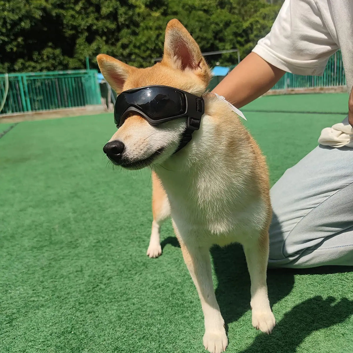 Dog Dress-Up Goggles with Adjustable Head & Chin Straps