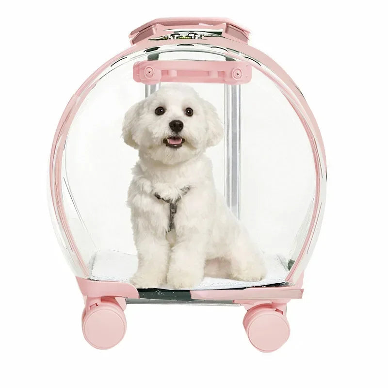Clear Bubble Rolling Pet Carrier with Telescoping Handle